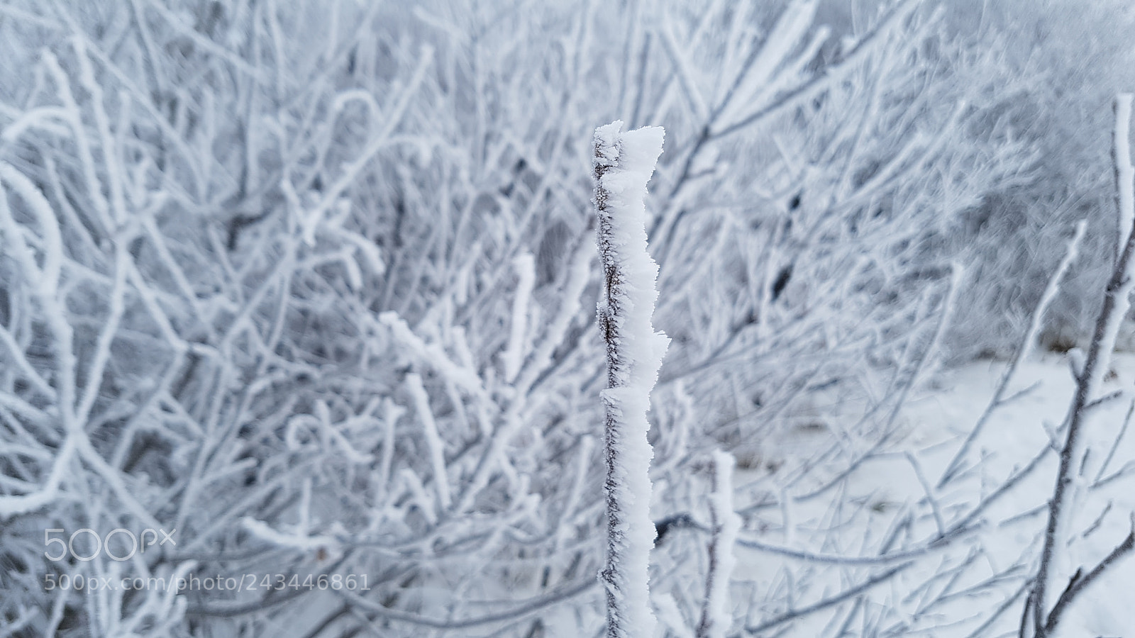 Samsung Galaxy S7 Edge sample photo. 20171203_114020.jpg photography