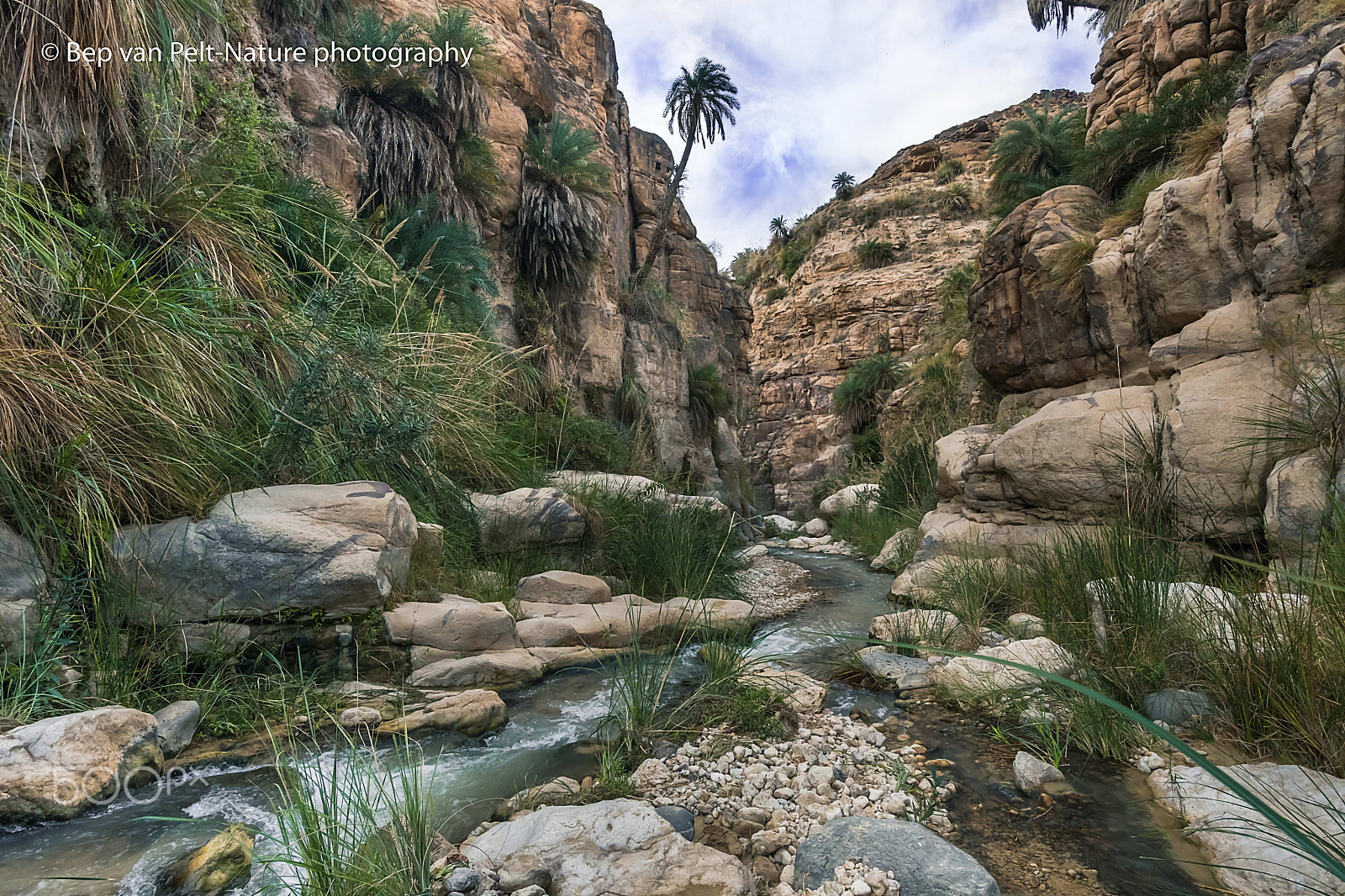 Nikon D500 sample photo. Wadi ibn al hammad at a wider part photography