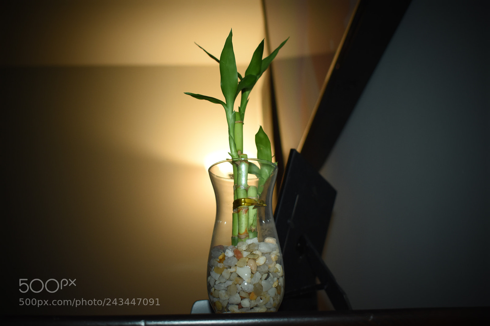 Nikon D3400 sample photo. Untitled photography