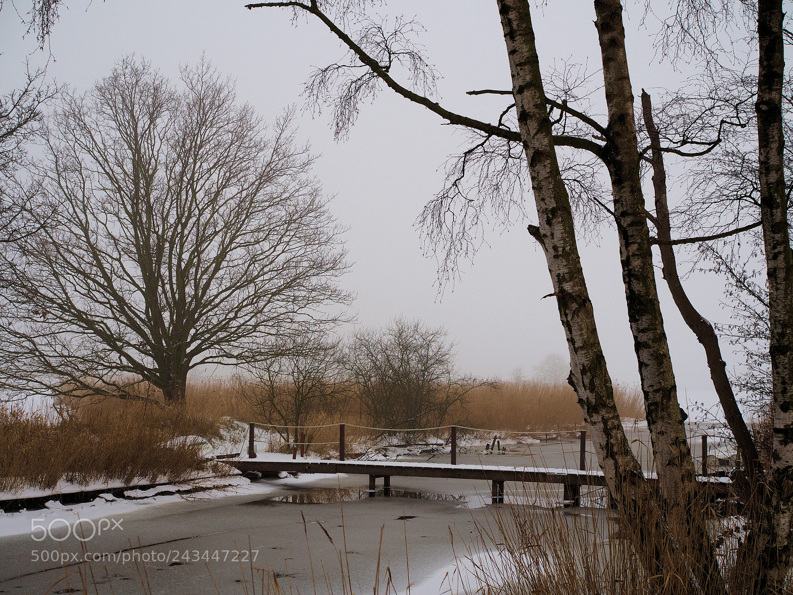 Olympus OM-D E-M10 sample photo. Winter scene 1 photography