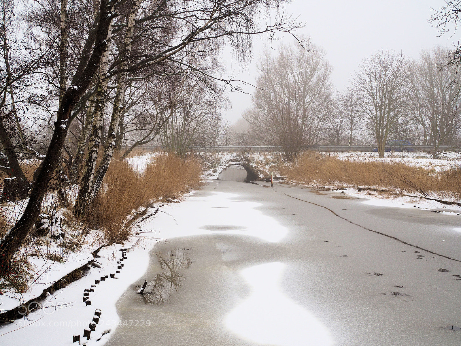 Olympus OM-D E-M10 sample photo. Winter scene 2 photography