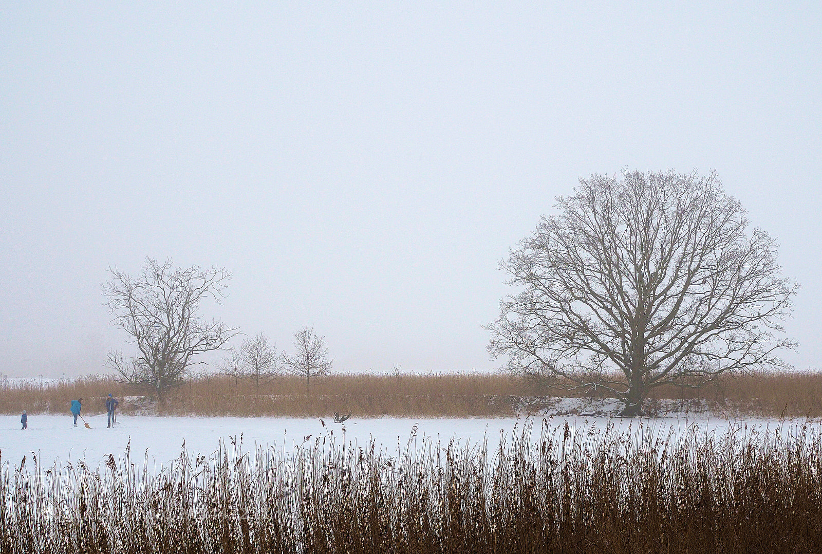 Olympus OM-D E-M10 sample photo. Winter scene 3 crop photography