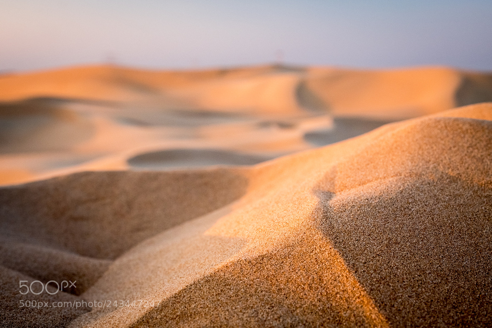 Fujifilm X-T2 sample photo. Golden sunset in uae photography