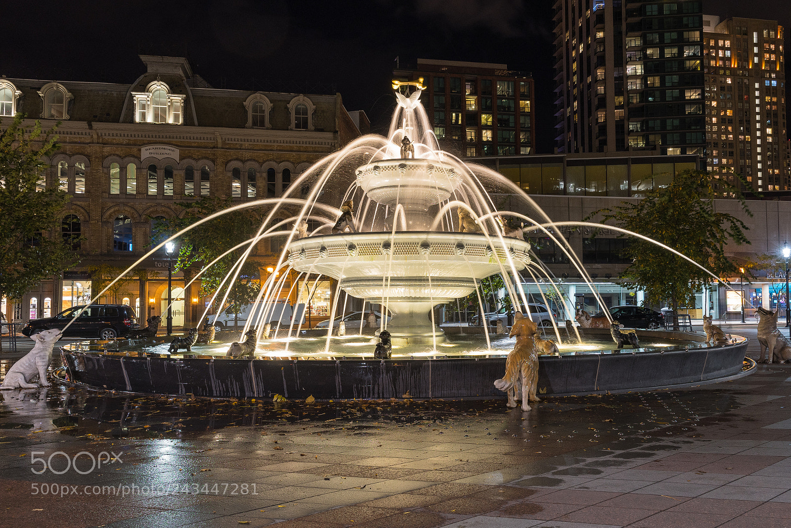 Nikon D500 sample photo. Cic photography