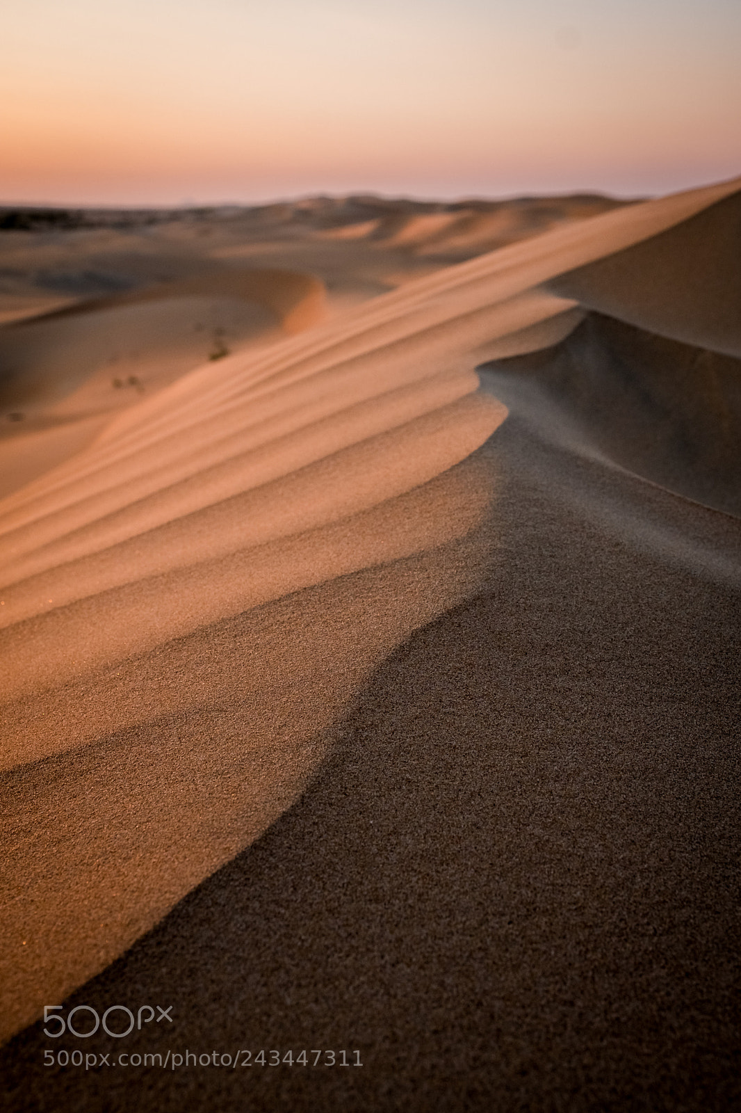 Fujifilm X-T2 sample photo. Golden sunset in uae photography