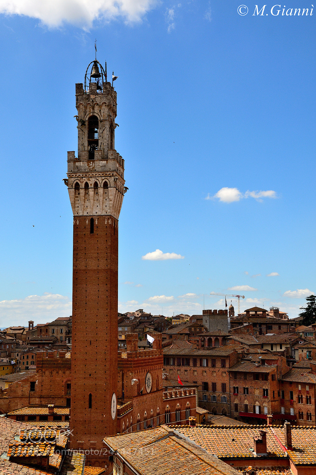 Nikon D3100 sample photo. Torre del mangia photography