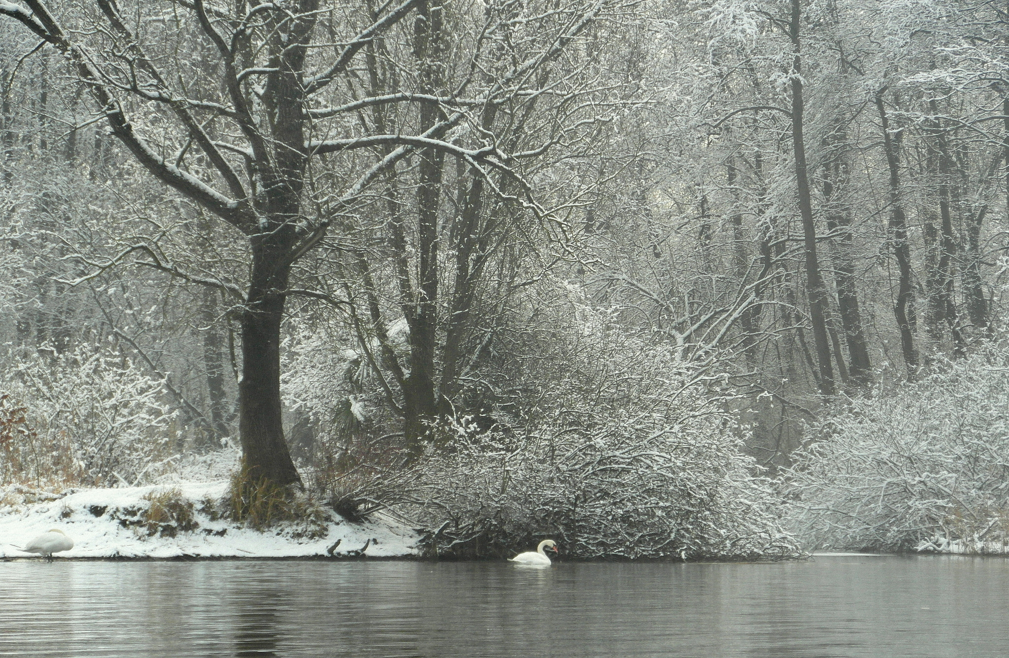 Samsung WB750 sample photo. Panorama photography