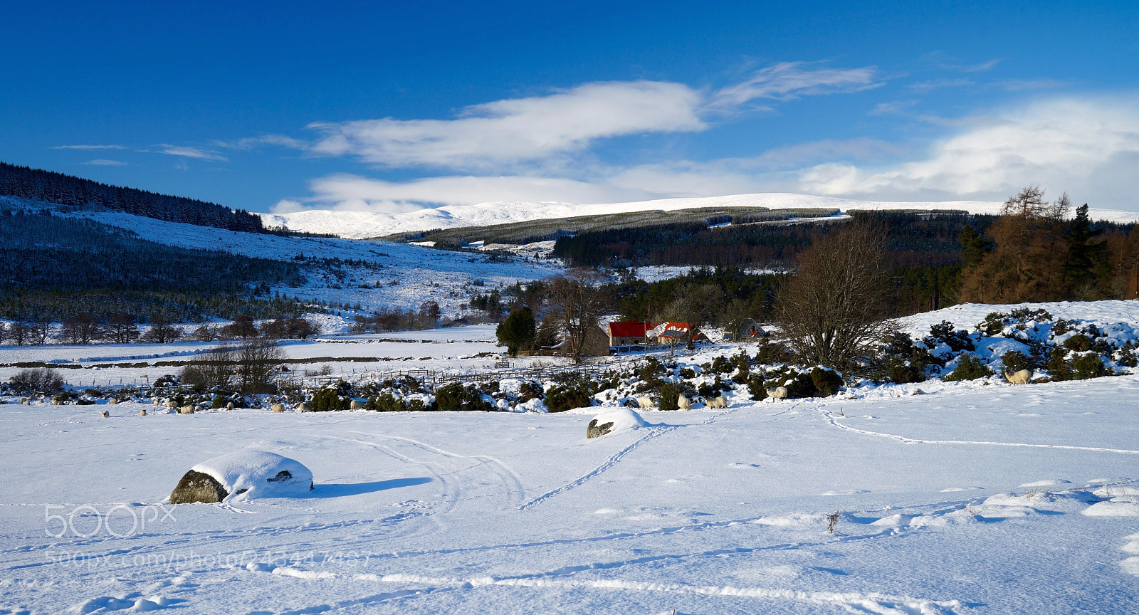 Sony a7 sample photo. Strathrusdale, scottish highlands photography