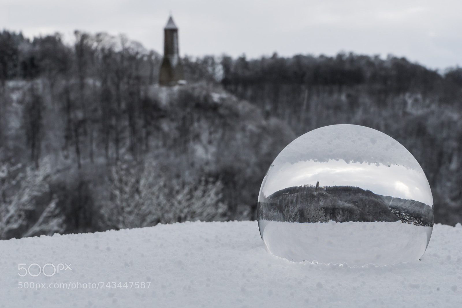 Sony ILCA-77M2 sample photo. The crystal eye photography