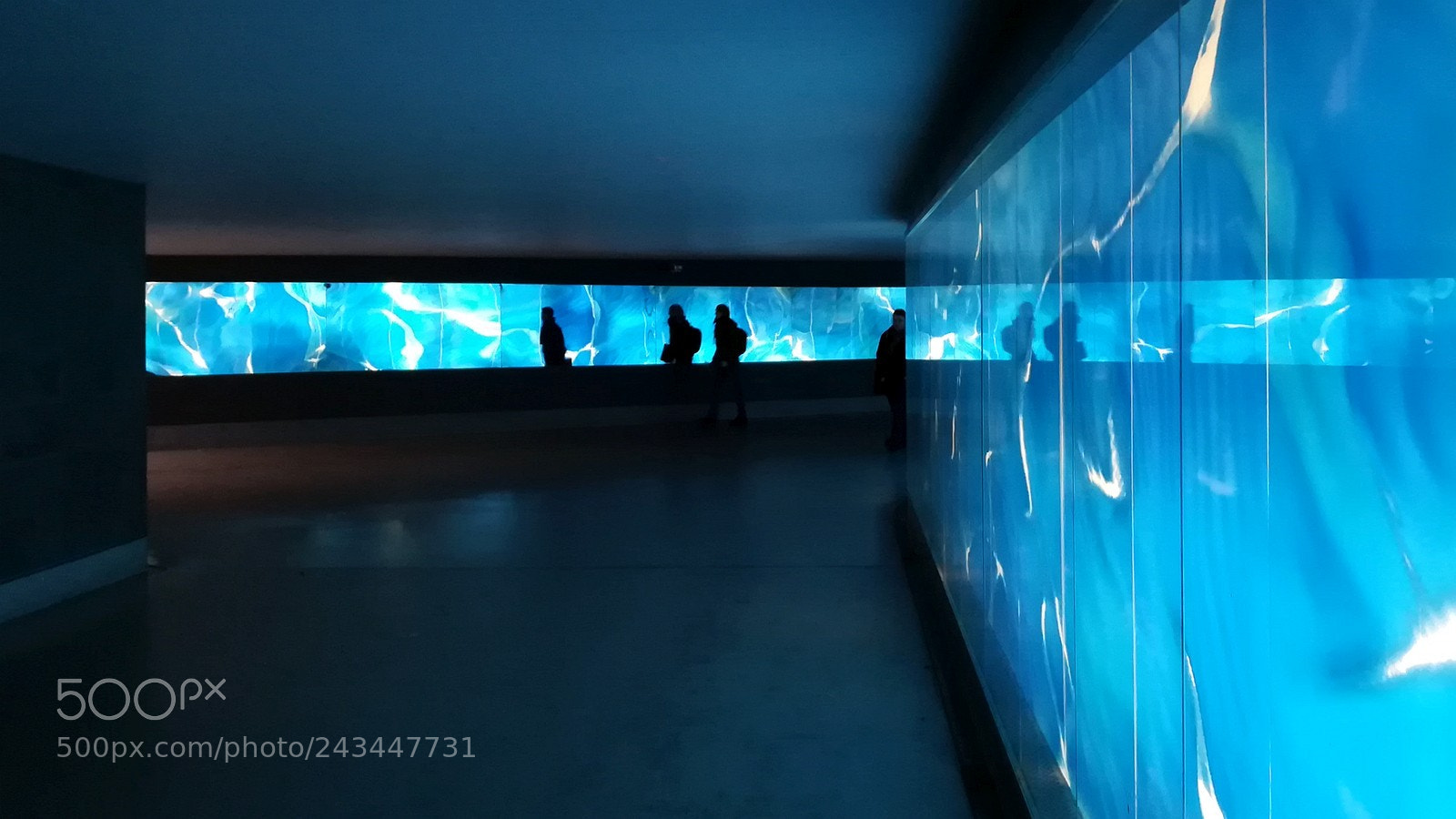 HUAWEI honor 6x sample photo. In the subway photography