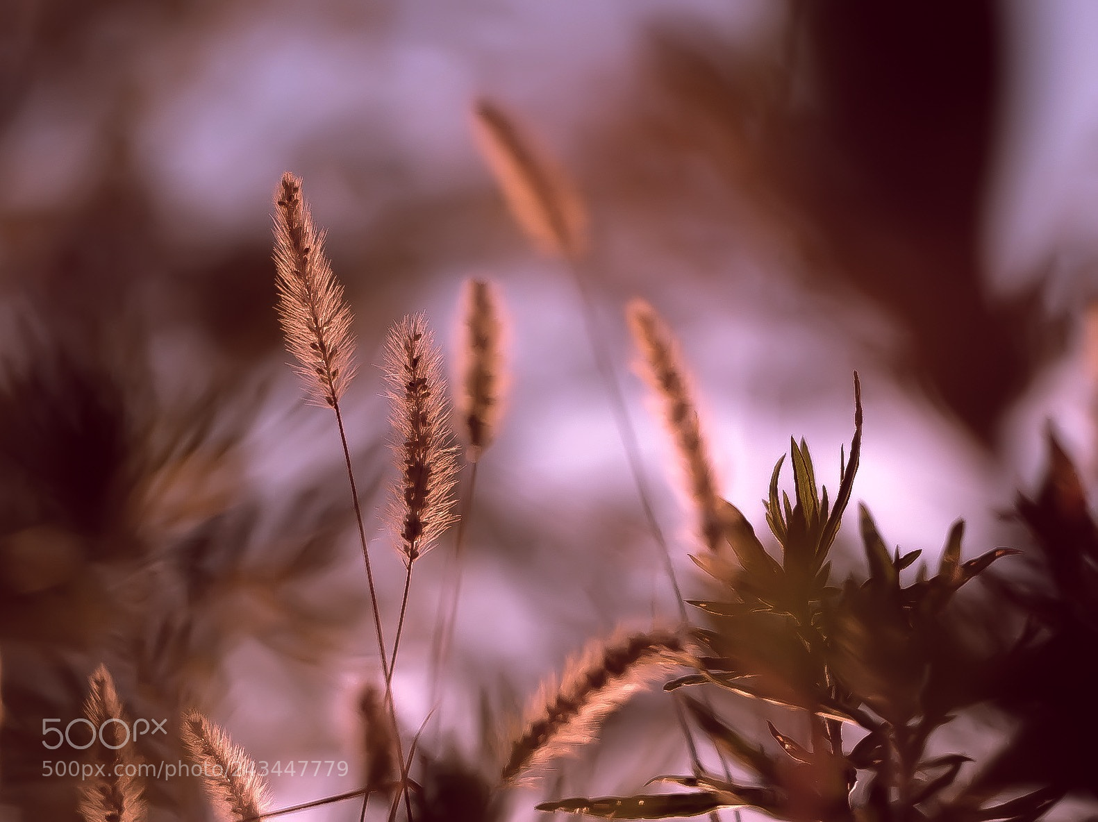 Fujifilm X-T10 sample photo. Untitled photography