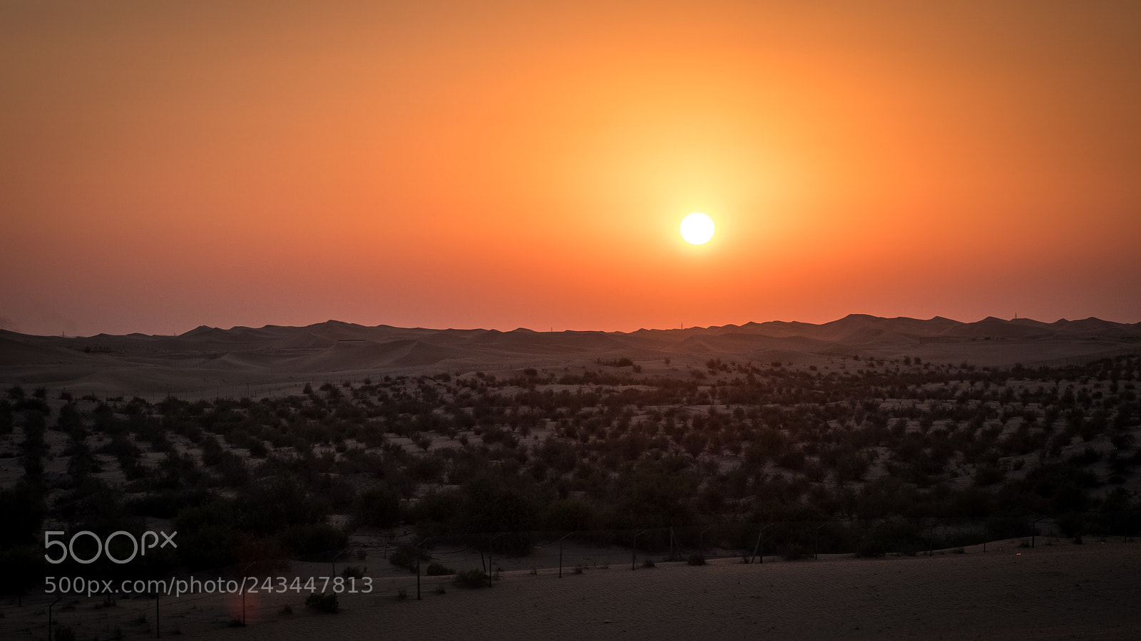 Fujifilm X-T2 sample photo. Setting sun, abu dhabi photography