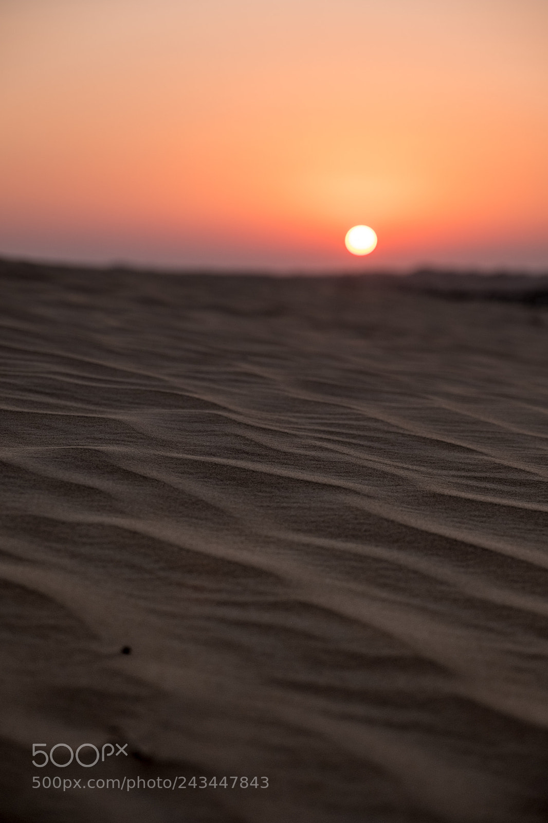 Fujifilm X-T2 sample photo. Setting sun, abu dhabi photography