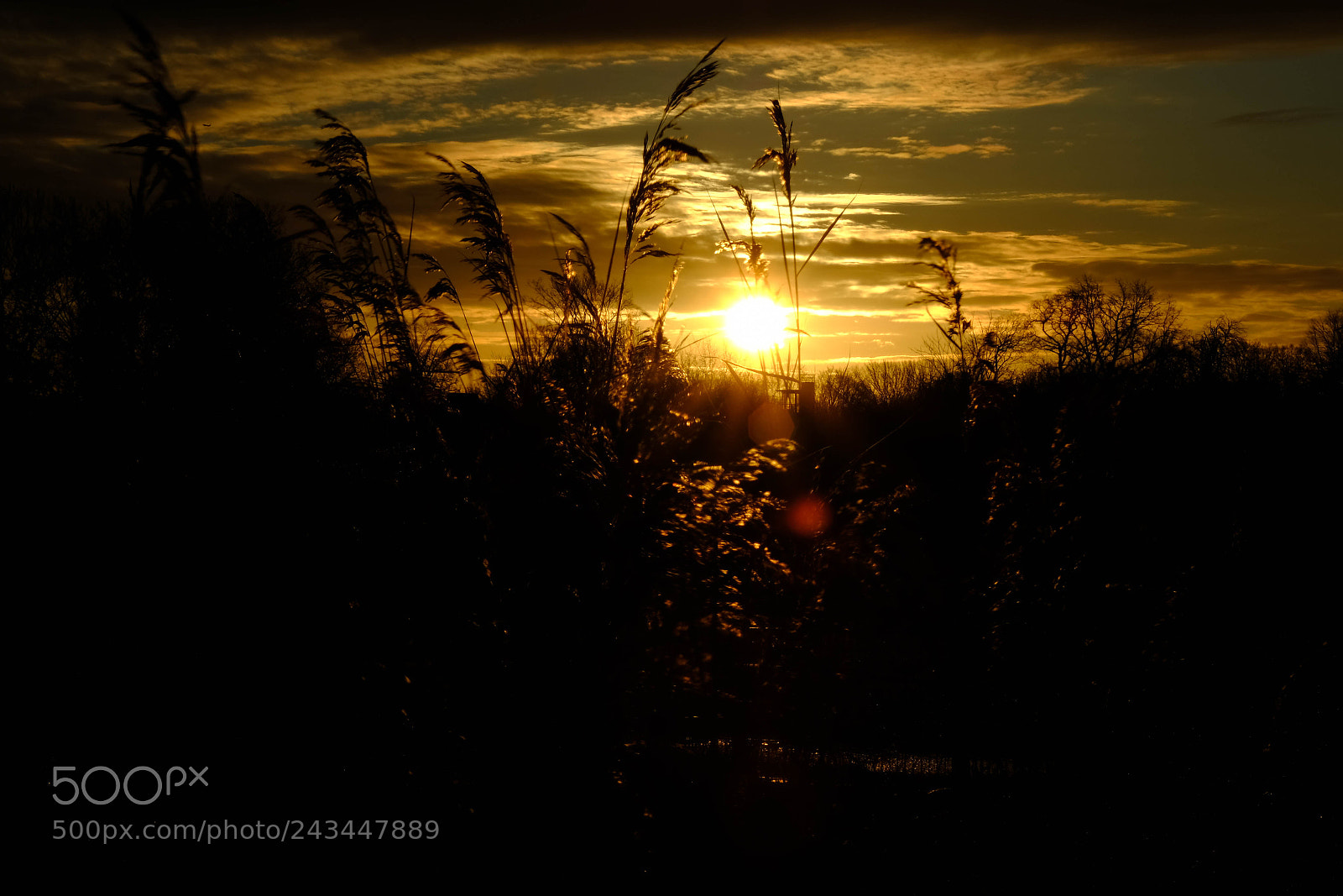 Fujifilm X-T20 sample photo. Sunrise photography
