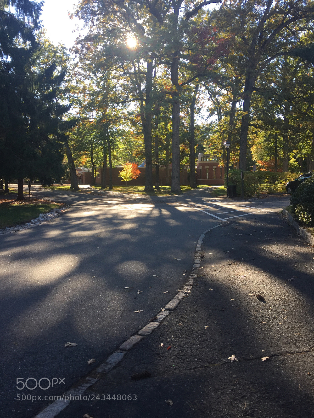 Apple iPhone 6 sample photo. Sunlit sidewalk photography