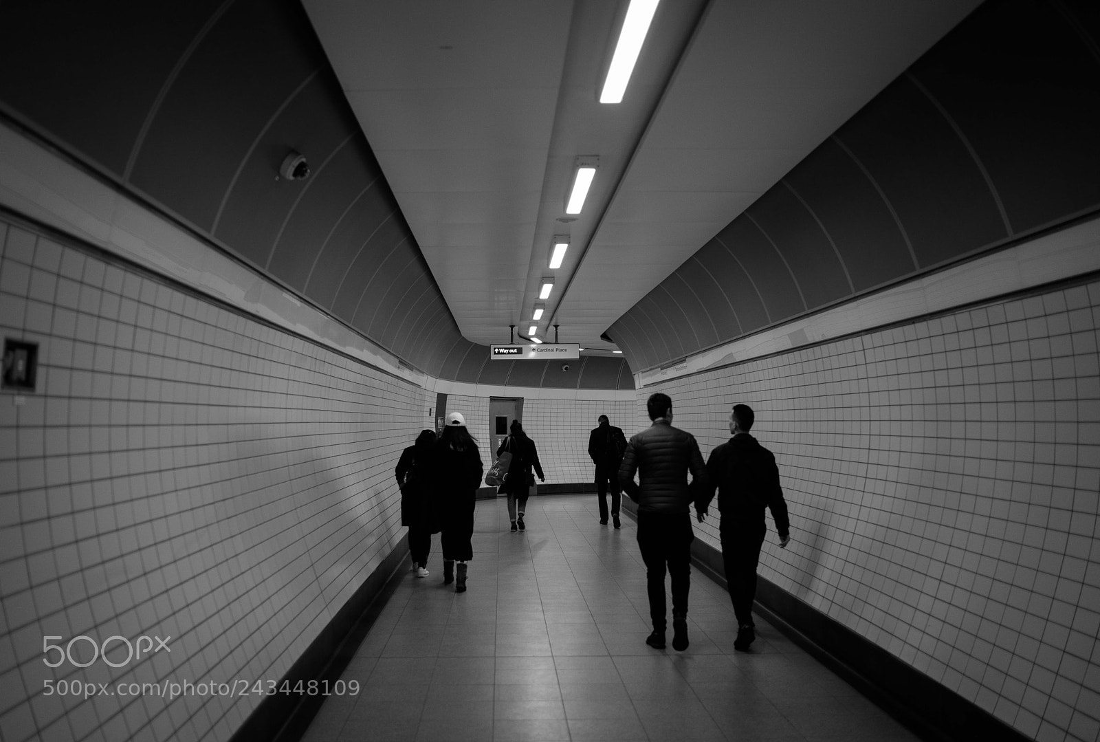 Sony a7R II sample photo. Dsc photography