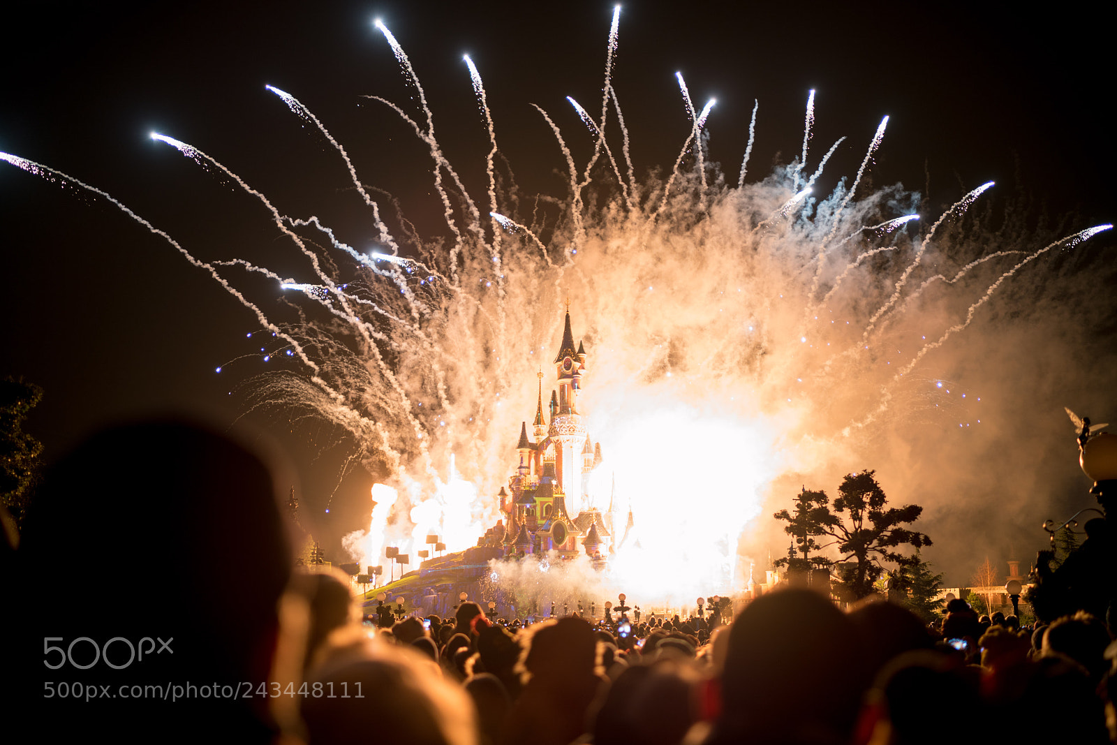 Sony a7R II sample photo. Dsc photography