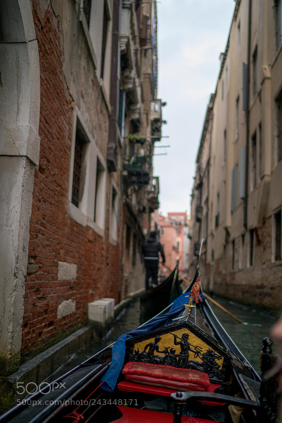 Sony a7R II sample photo. Dsc photography