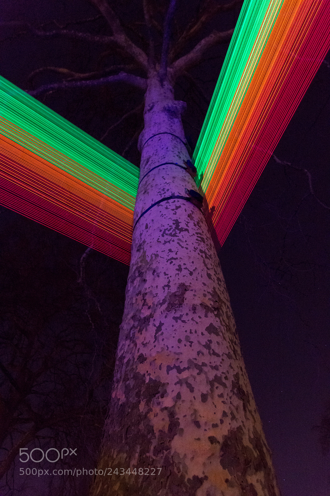 Nikon D7200 sample photo. Lumiere london photography