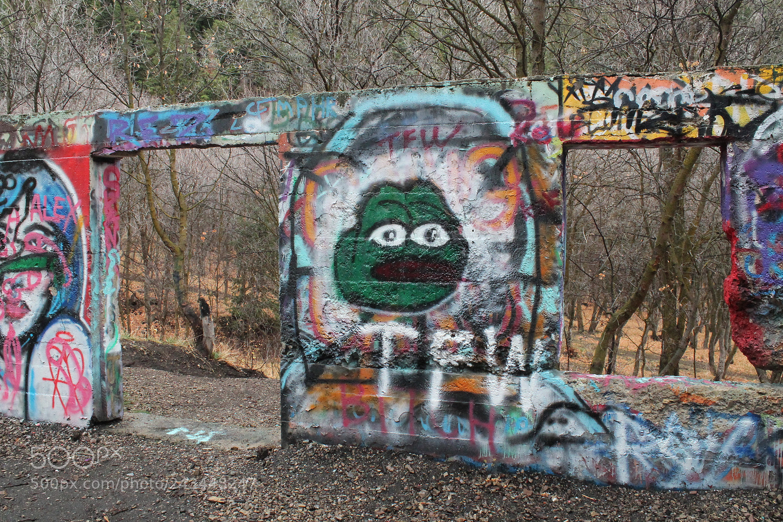 Canon EOS 1100D (EOS Rebel T3 / EOS Kiss X50) sample photo. Sad frog grafitti photography