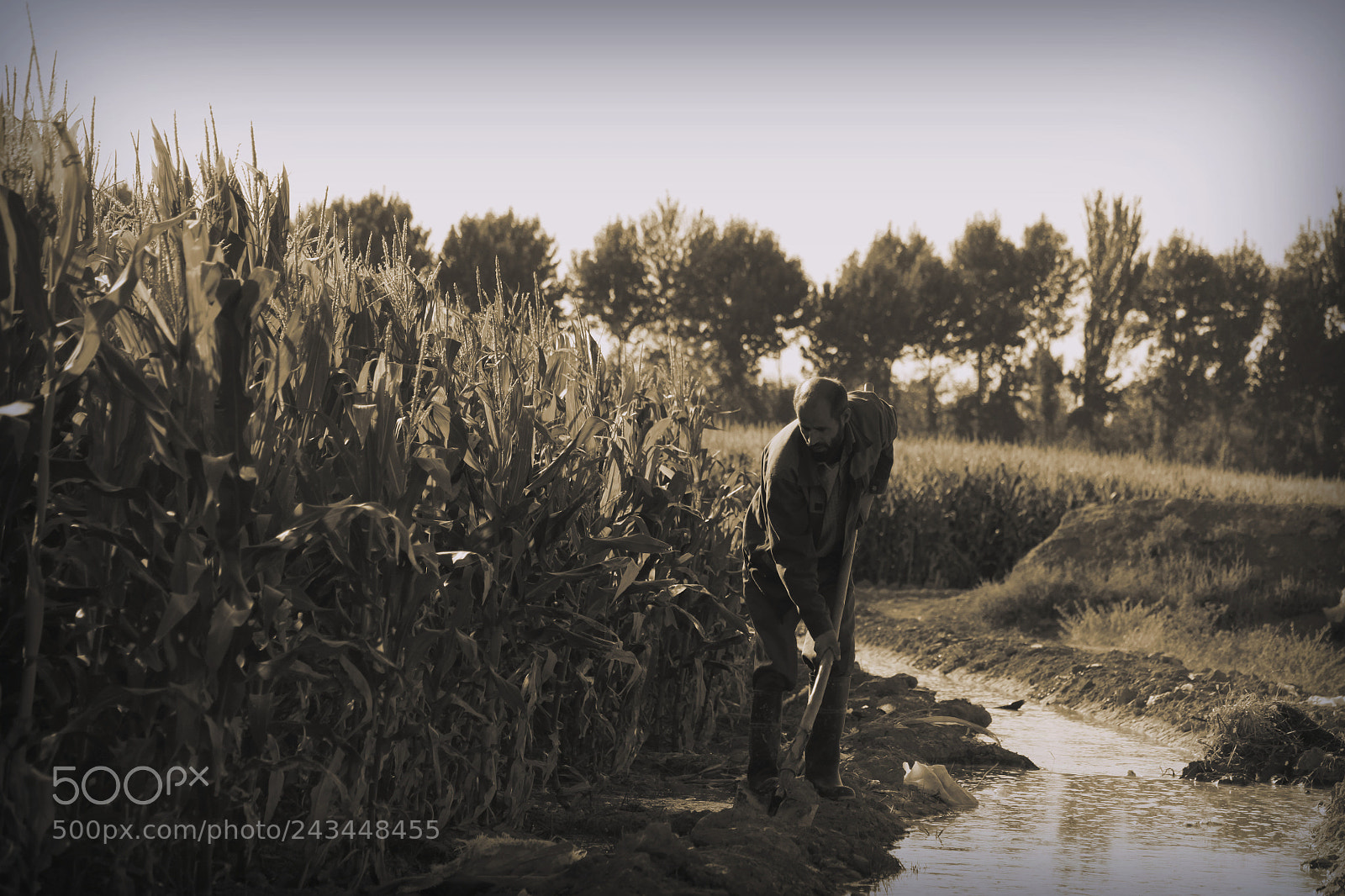 Canon EOS 500D (EOS Rebel T1i / EOS Kiss X3) sample photo. Farmer ii photography