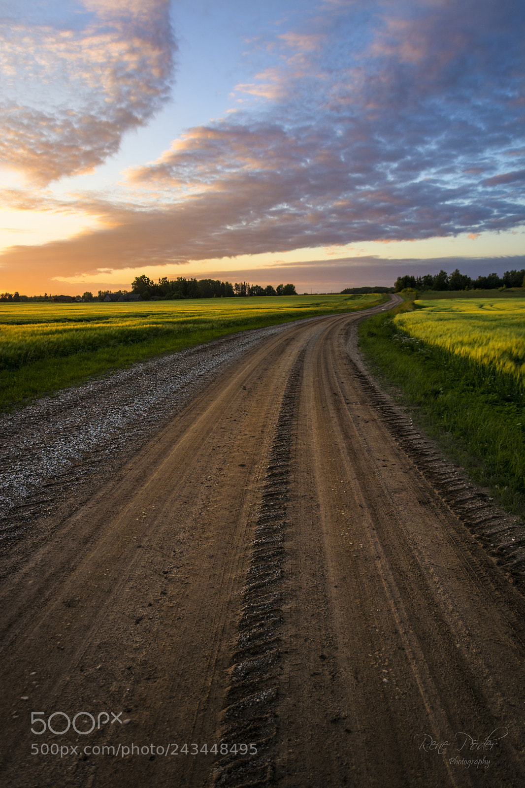 Nikon D7100 sample photo. Warm summer evening. photography
