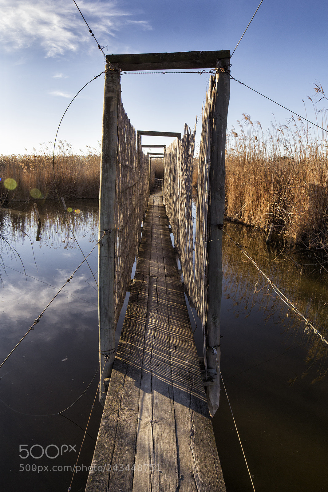 Canon EOS 60D sample photo. Te pongo un marco photography