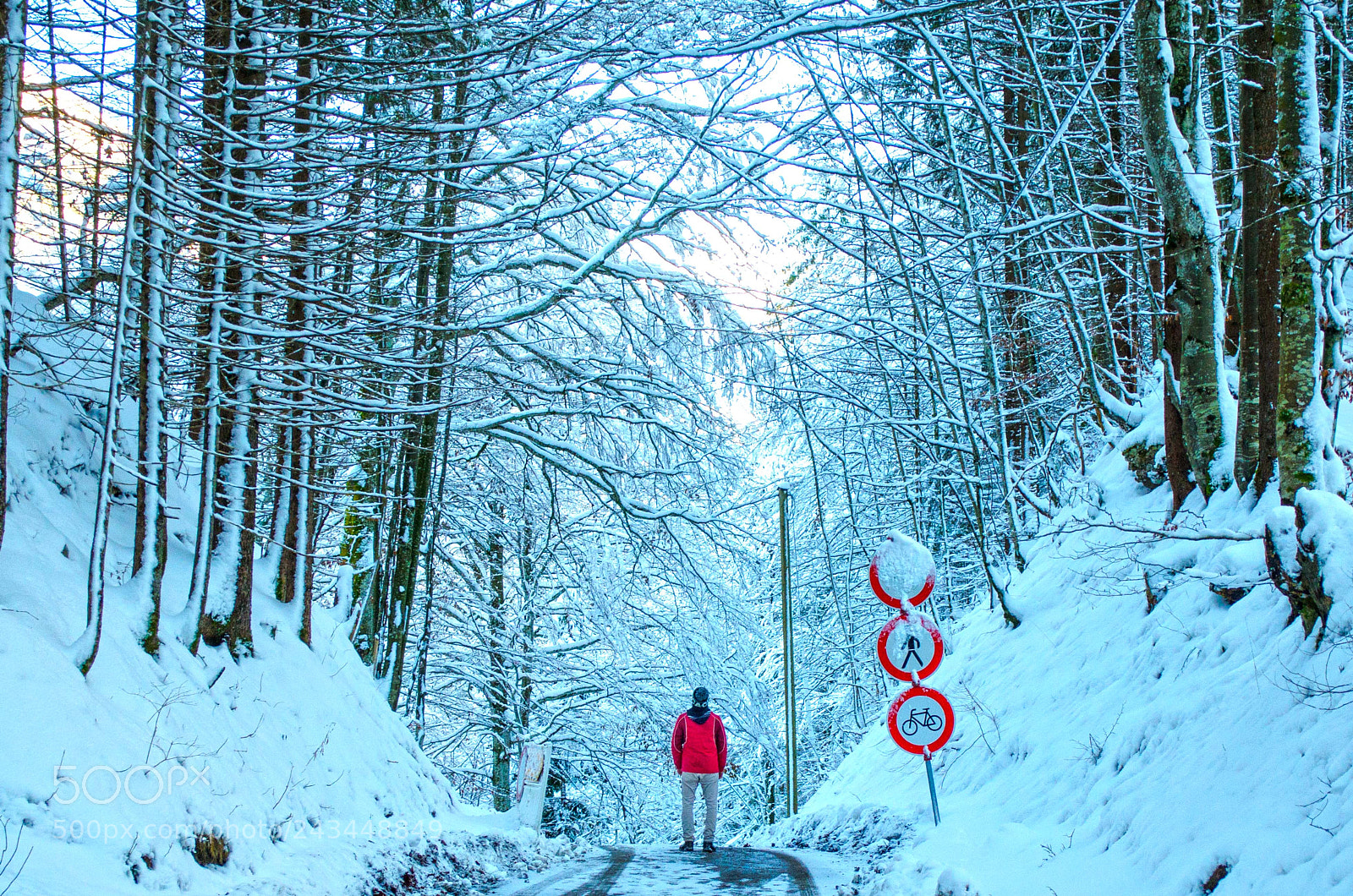 Nikon D5100 sample photo. The path photography