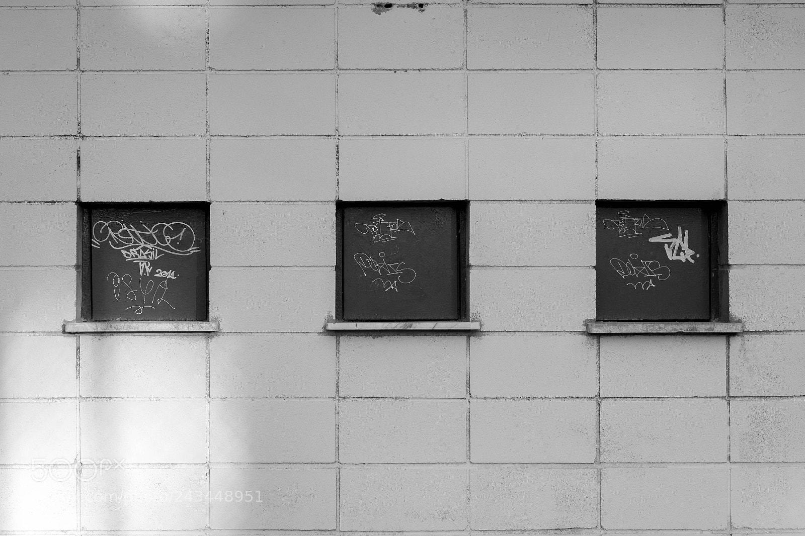 Fujifilm X-Pro1 sample photo. 34008893755.jpg photography