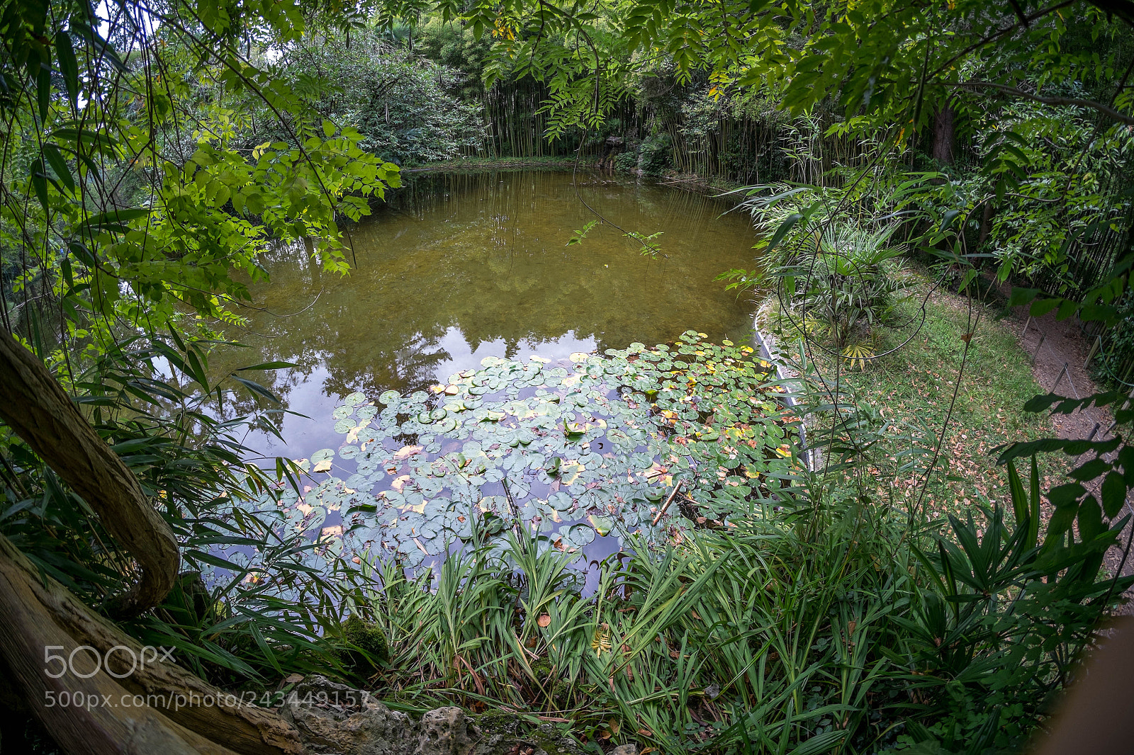 Fujifilm X-Pro1 sample photo. 15292357040.jpg photography