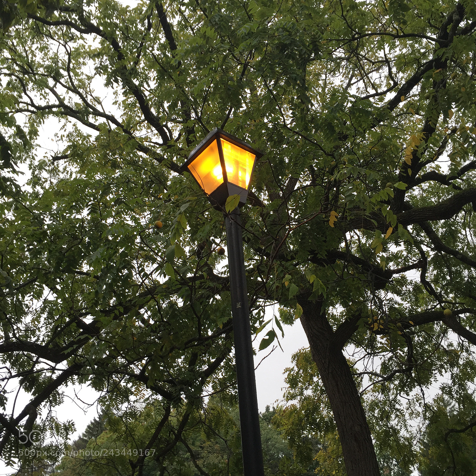 Apple iPhone 6 sample photo. Lamp post photography