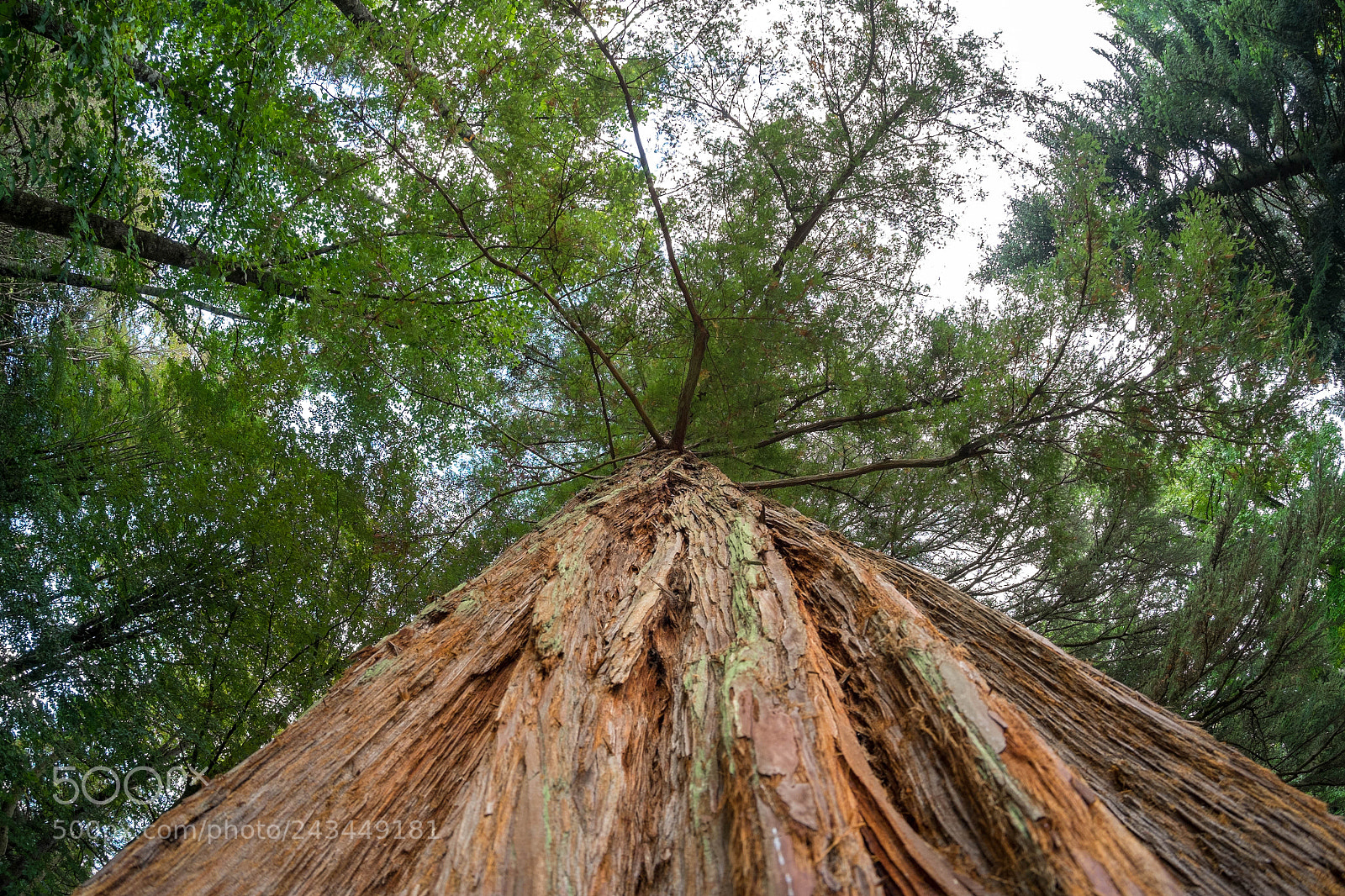 Fujifilm X-Pro1 sample photo. 15479030855.jpg photography