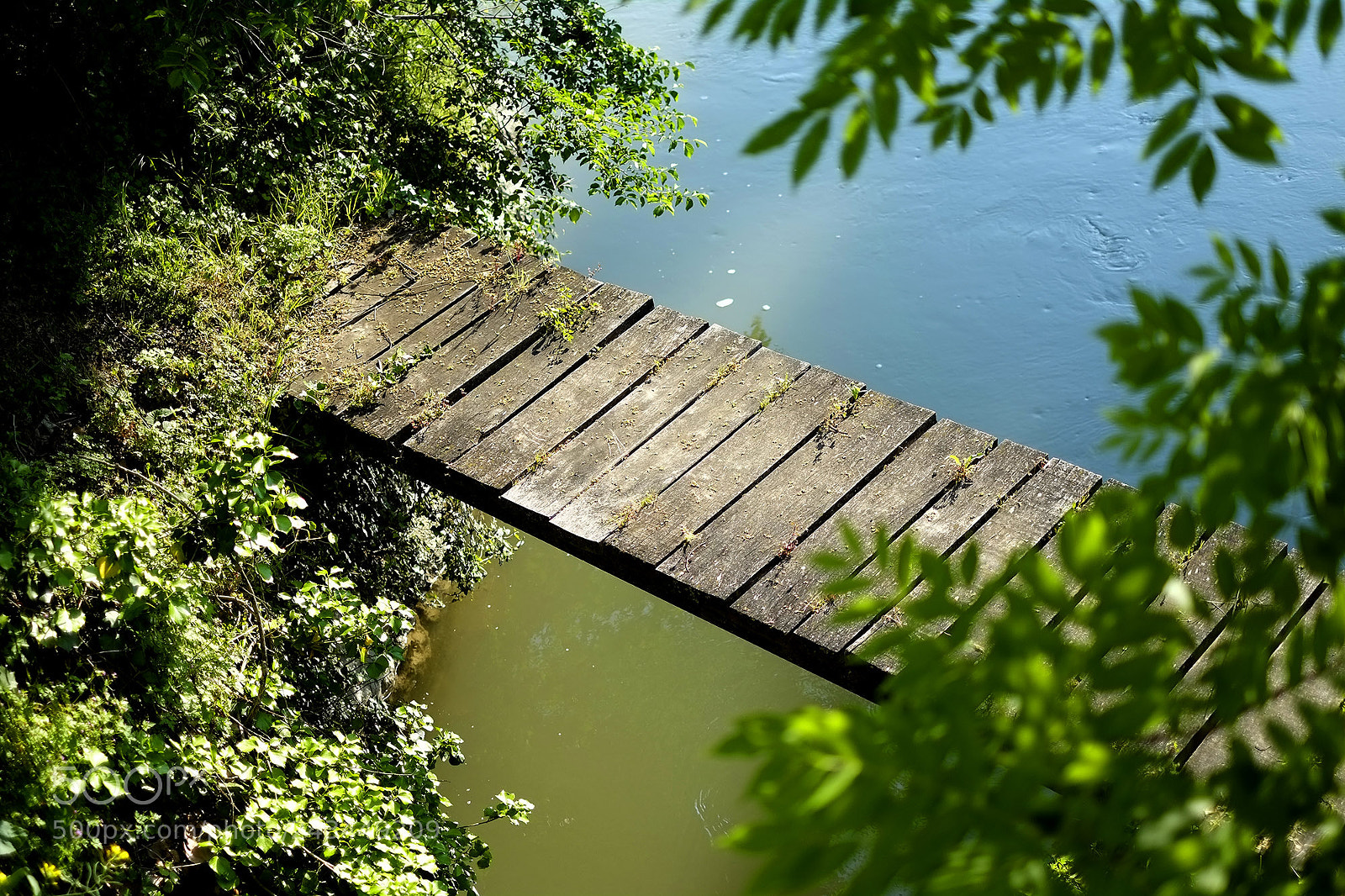 Fujifilm X-Pro1 sample photo. 15036981007.jpg photography