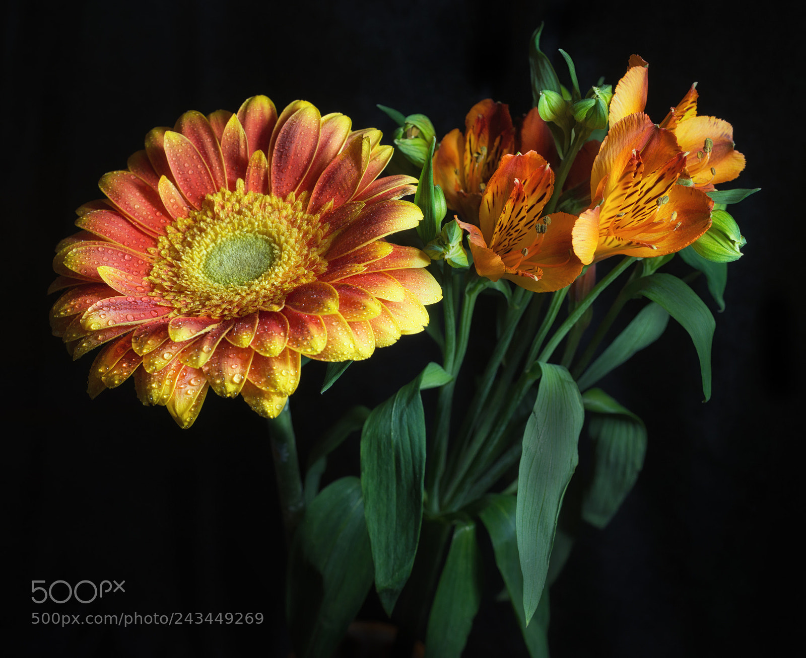 Nikon D800 sample photo. Flo photography