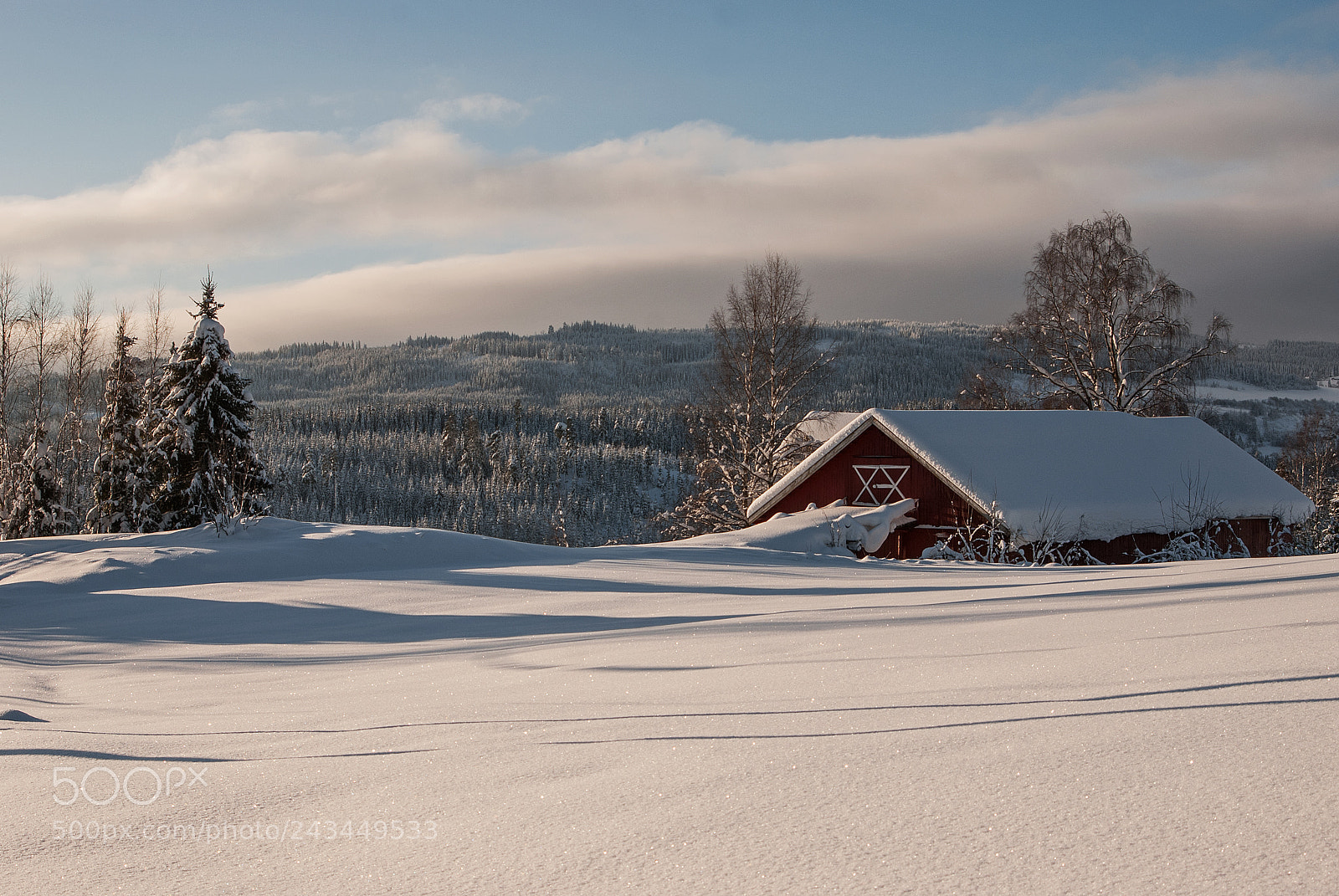 Nikon D80 sample photo. Winter moode photography