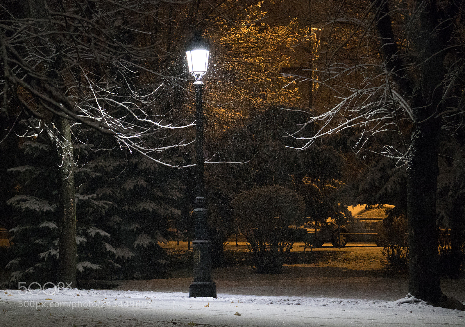 Sony a6300 sample photo. Winter park photography