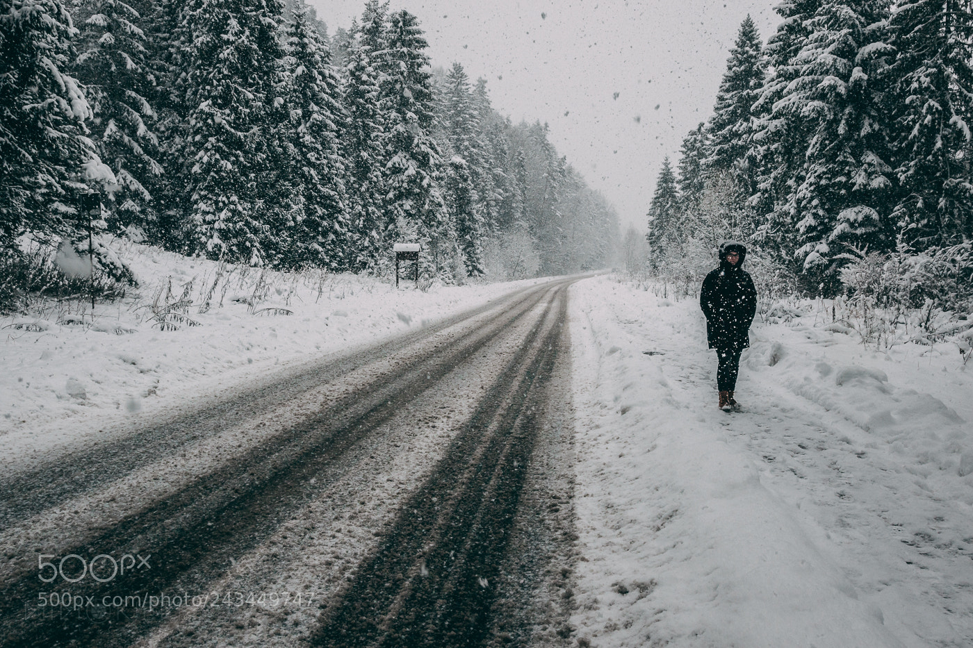 Canon EOS 7D Mark II sample photo. Winter road photography