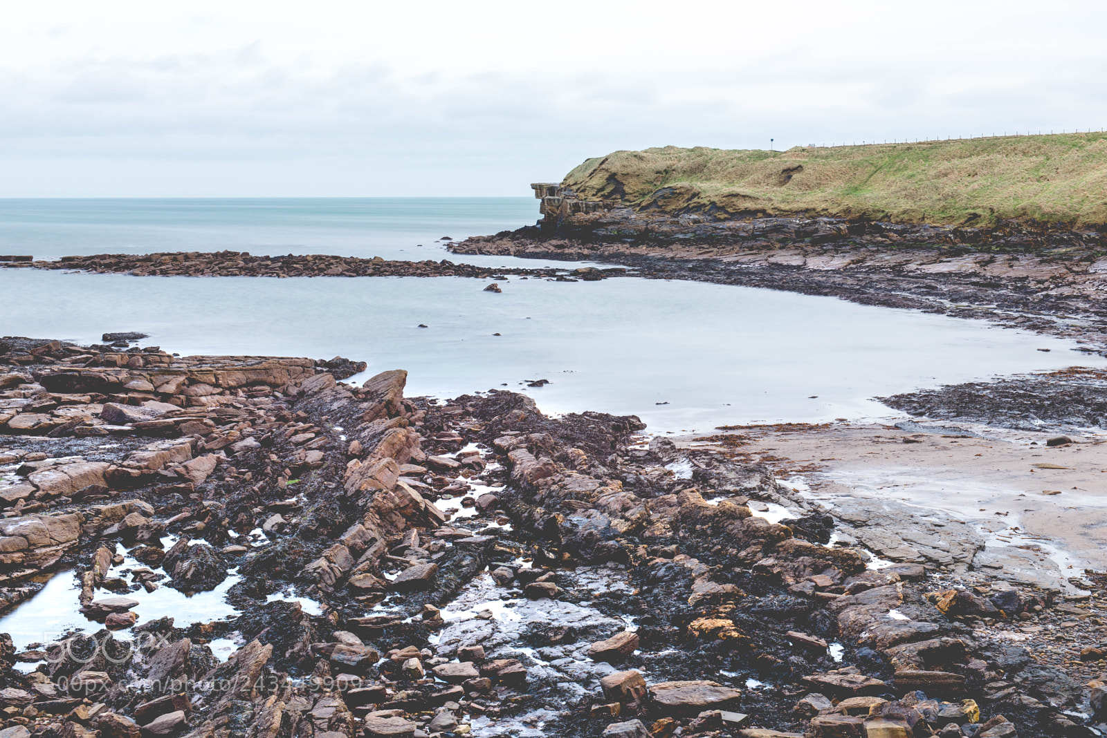 Nikon D610 sample photo. Seaton sluice cliffs photography