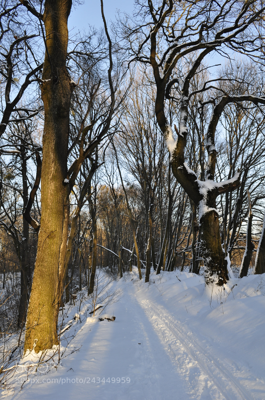Nikon D5000 sample photo. Mystery photography