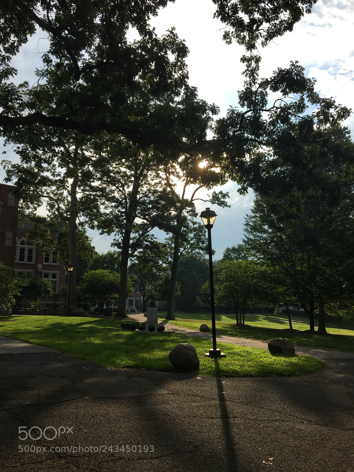 Apple iPhone 6s sample photo. Morning walk photography