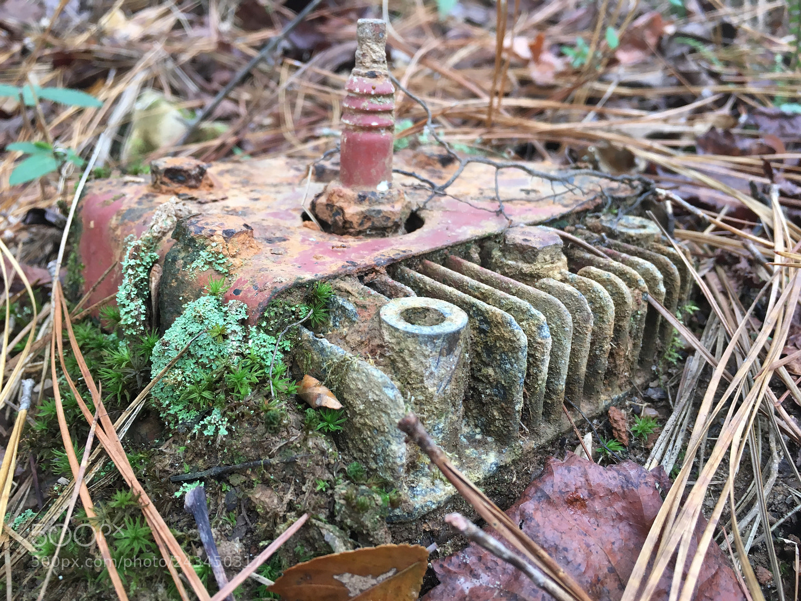 Apple iPhone 6s sample photo. Thingamabob photography