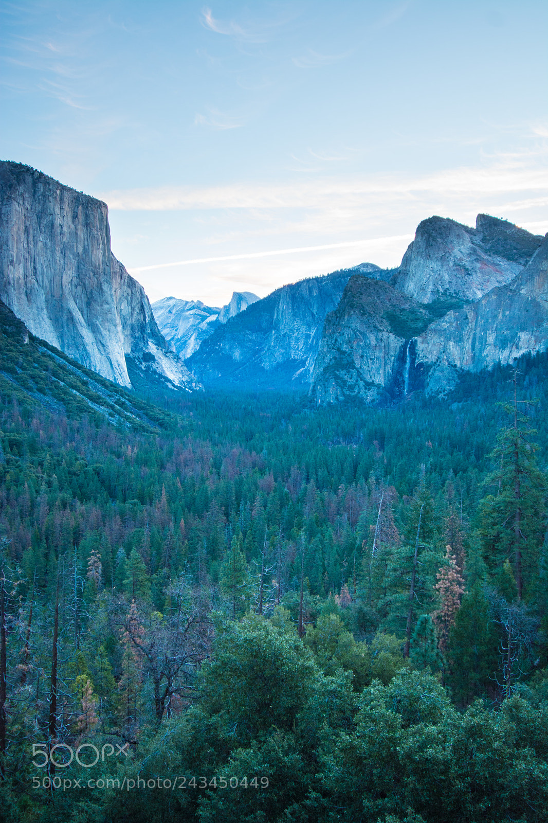 Nikon D7100 sample photo. Yosemite photography
