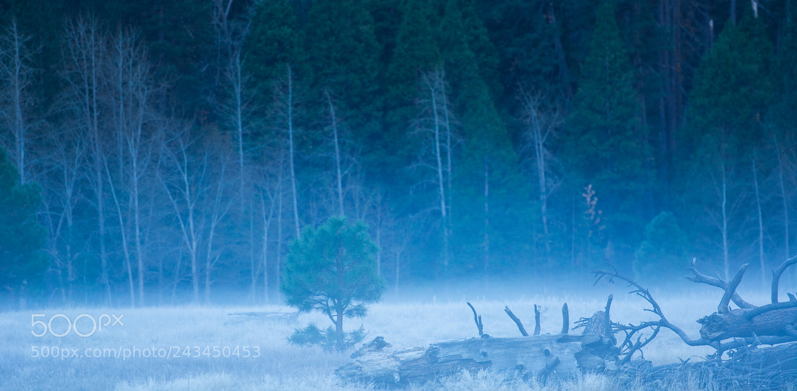 Nikon D7100 sample photo. Yosemite photography