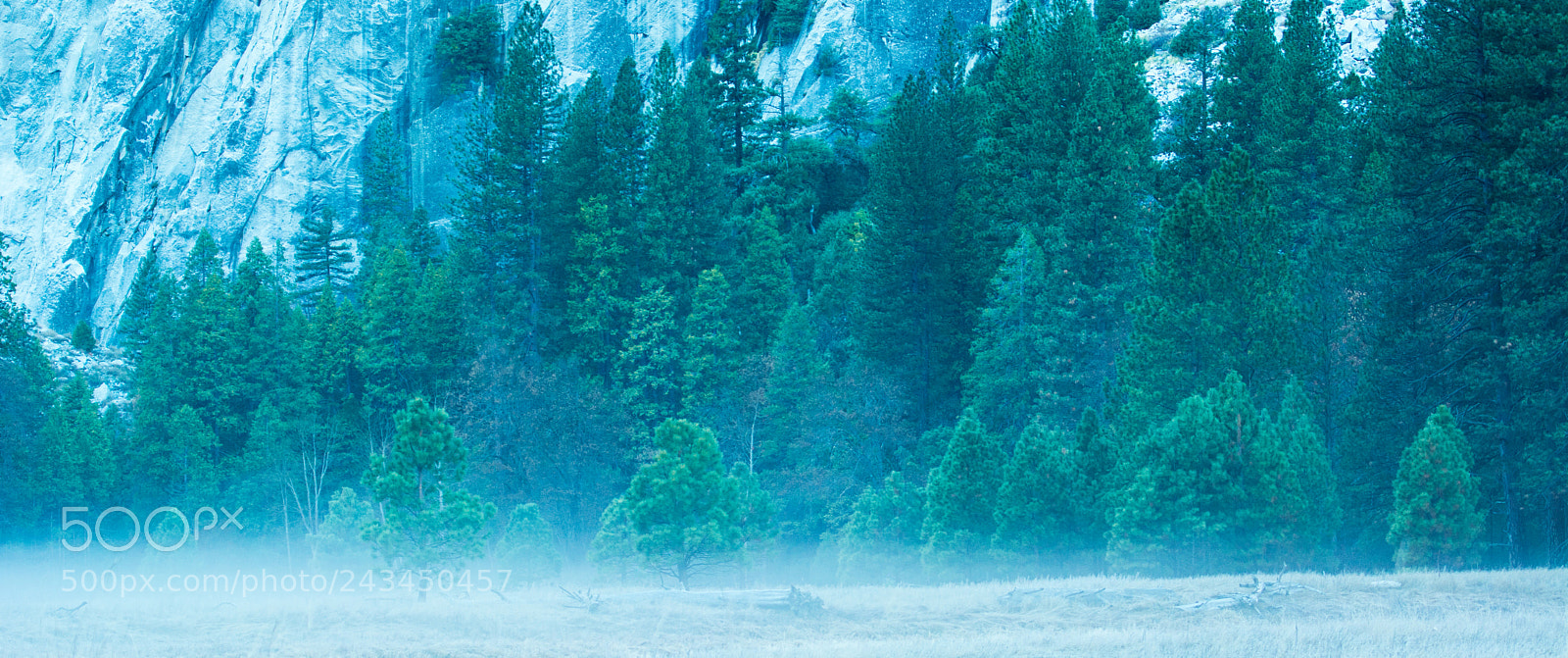 Nikon D7100 sample photo. Yosemite photography