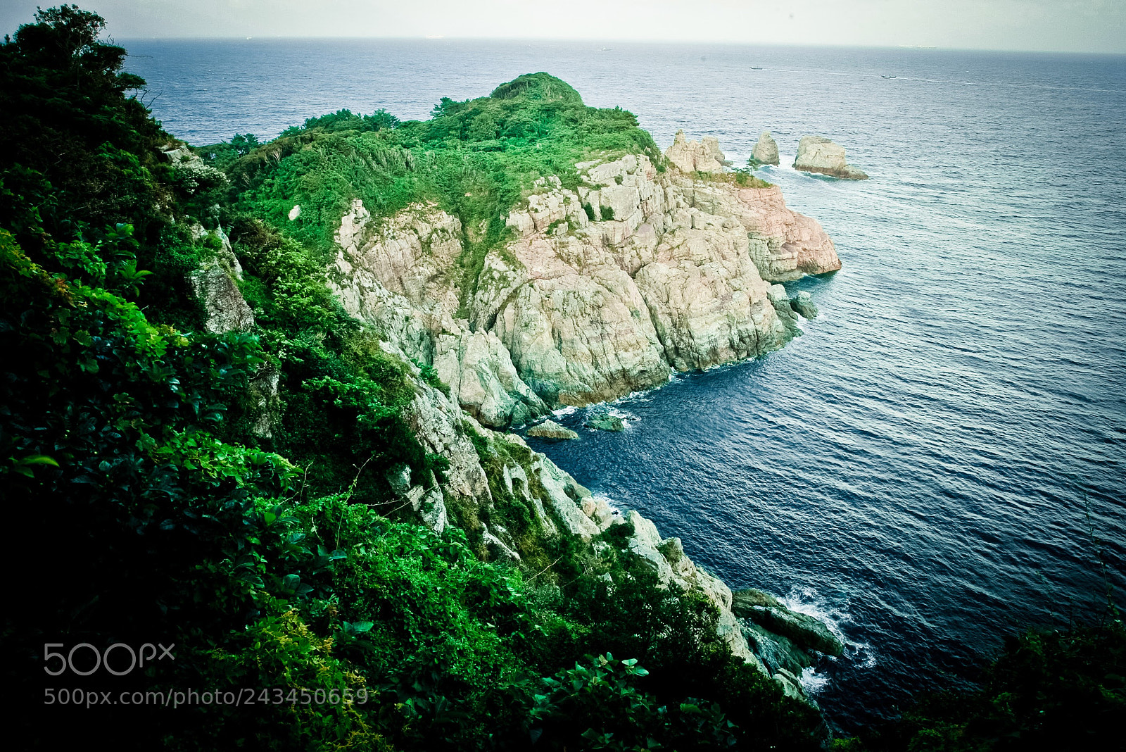 Canon EOS-1D Mark III sample photo. Untitled photography