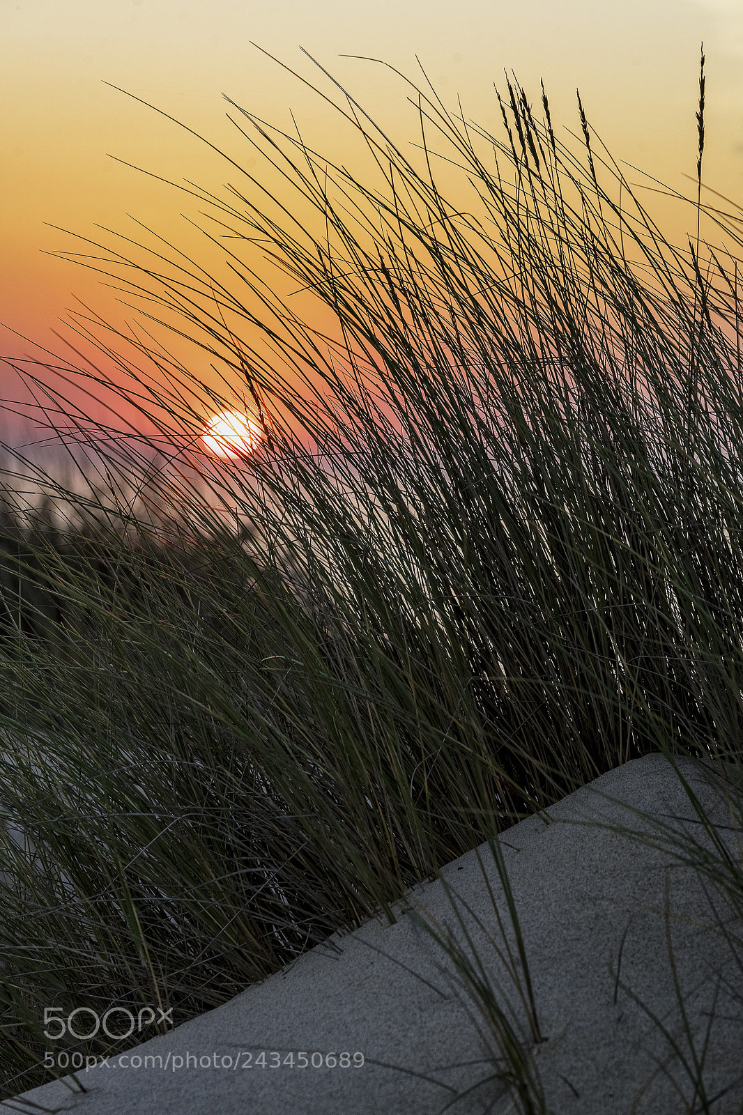 Sony a7 II sample photo. Dunes photography