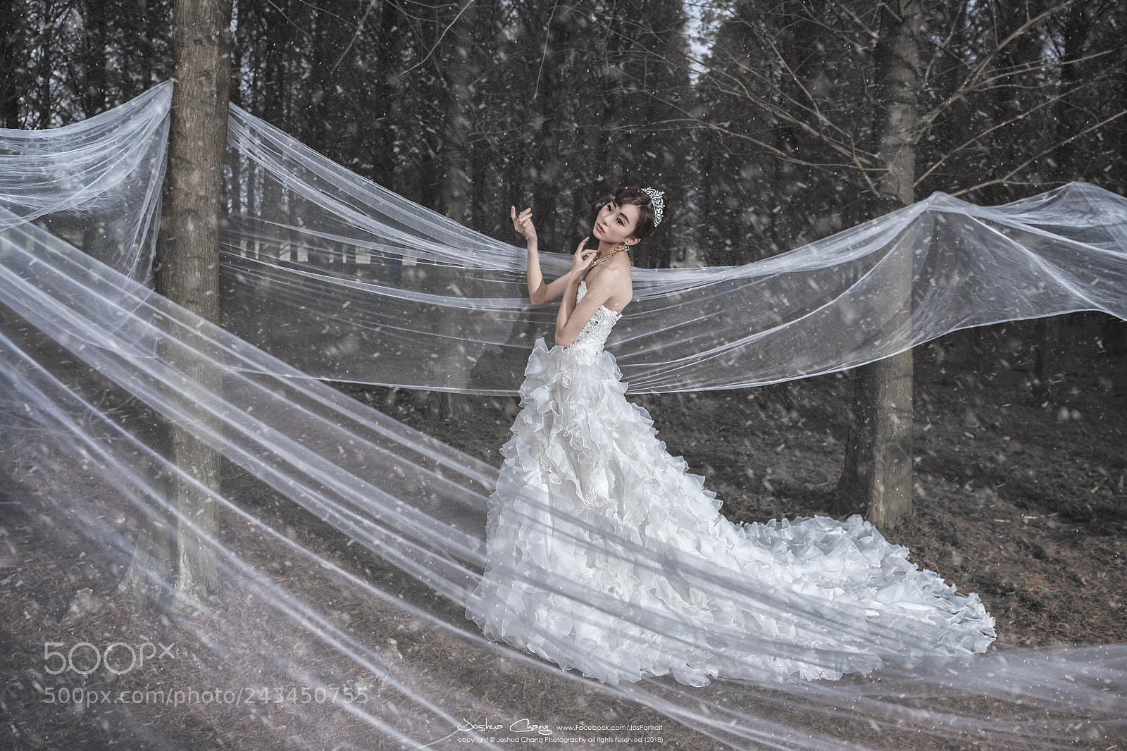 Nikon D850 sample photo. Pre wedding - 李欣恩 photography