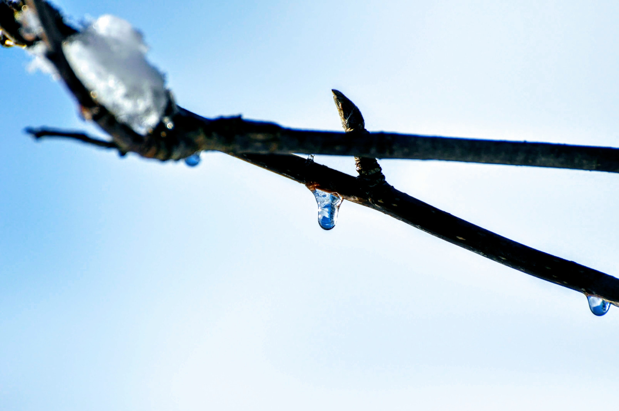 Nikon D90 sample photo. Frozen drop. photography