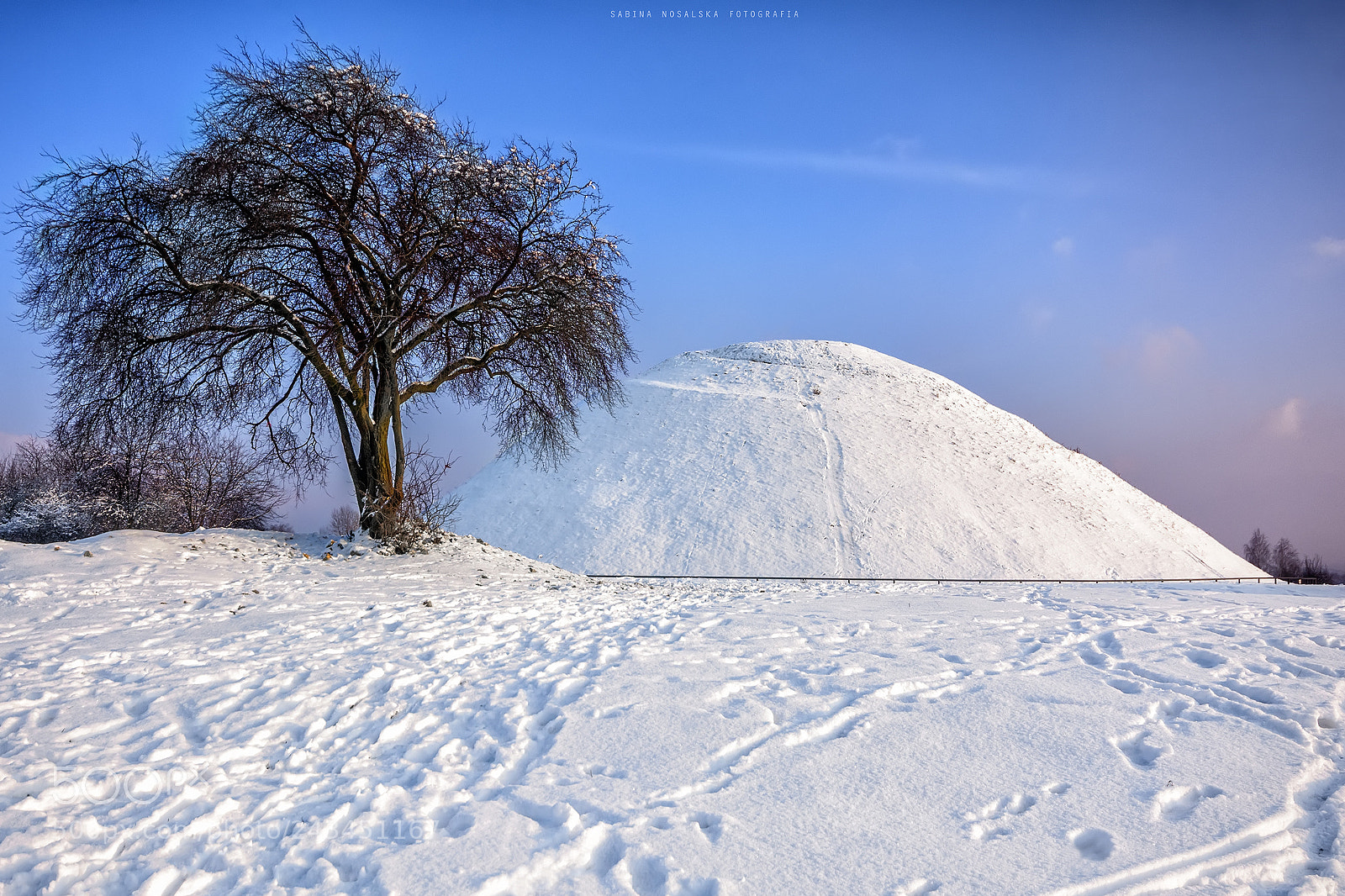 Nikon D7100 sample photo. Krakus mound photography