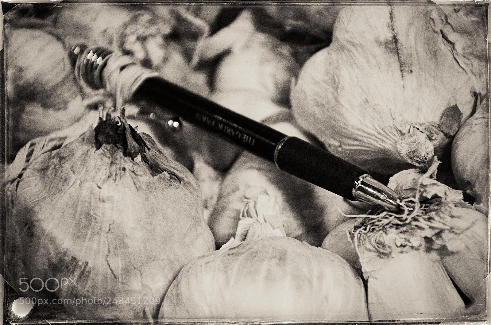 Nikon D7000 sample photo. Written in garlic photography